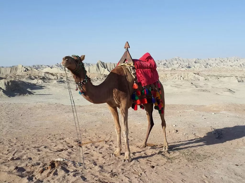 20171201-151607-largejpg