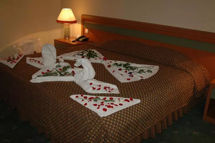 358bd36ce9784619950f94daf5557566